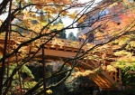 秋のこおろぎ橋　©石川県観光連盟