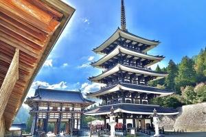 大門と五重塔です。