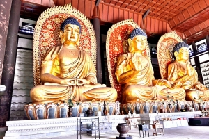 世界最大級の木造三大佛です