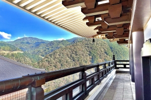 五重塔の最上階からです