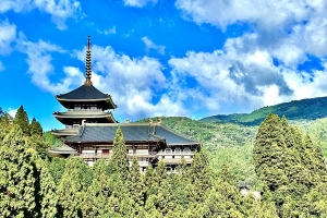 長楽寺手前の橋の上からです
