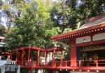 来宮神社境内